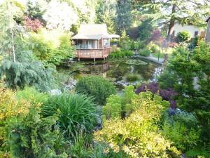 00i0i_5jC6fSCgSeC_600x450